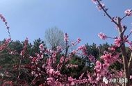 青岛快盈500_青岛快盈500聚脲_青岛快盈500聚脲公司